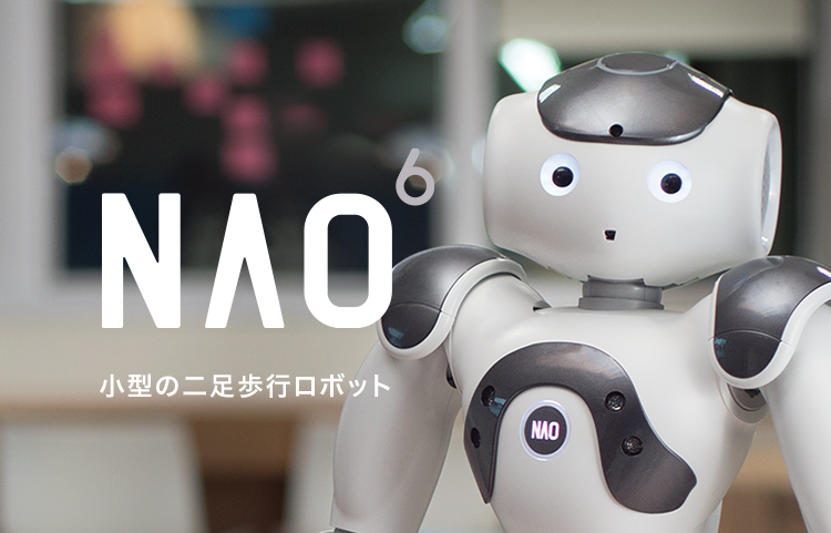 NAO6 小型の二足歩行ロボット