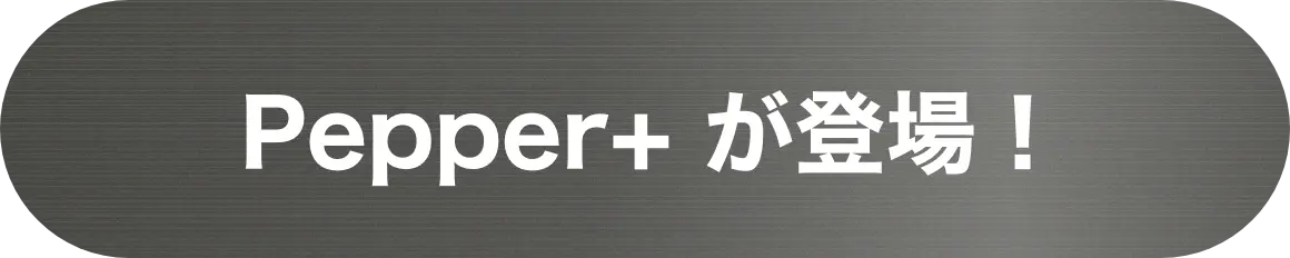 Pepper+ が登場!
